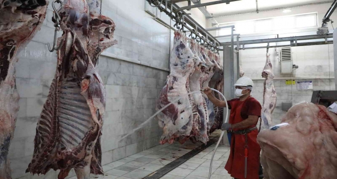 Büyükşehir Mezbahalarına Tam Not