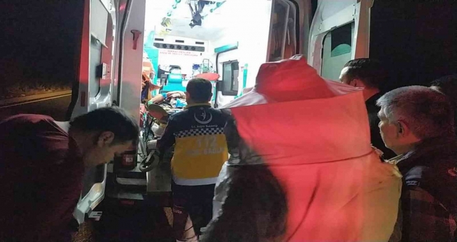 Arı Kovanı Taşıyan Kamyonet Devrildi: 2 Yaralı