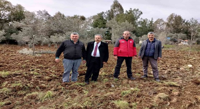Köyceğizde fideler toprakla buluştu