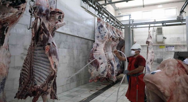 Büyükşehir mezbahalarında 31,6 milyon kilo kırmızı et üretildi