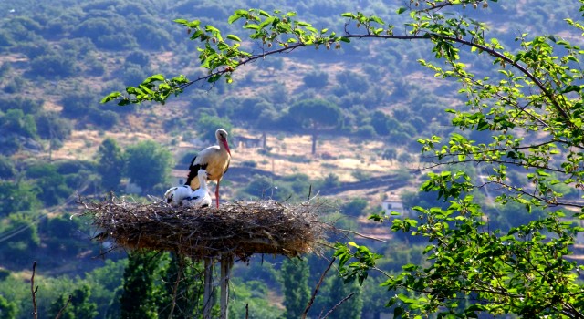 Adm Elektrik&rsquo;e &ouml;d&uuml;l