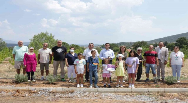 Köy yaşam merkezinde lavanta hasadı yapıldı