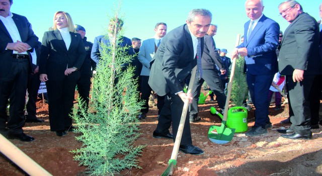 253 bin fidan toprakla buluşturuldu
