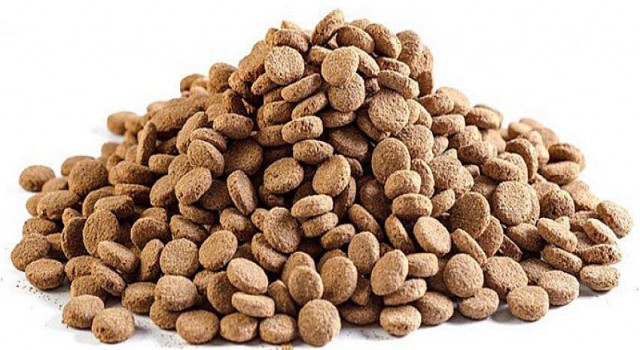 Köpek maması satın alınacaktır