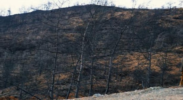 SONUNA KADAR M&Uuml;CADELE EDECEĞİZ