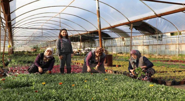 2022 yılında 1 Milyon 250 bin çiçek üretildi