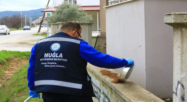 Büyükşehir can dostlara mama üretimi