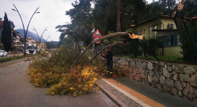 Marmariste fırtına ve sağanak yağış etkili oldu