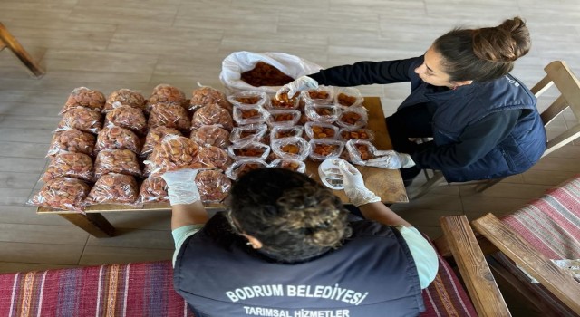 Belediyeden deprem mağduru üreticiye destek