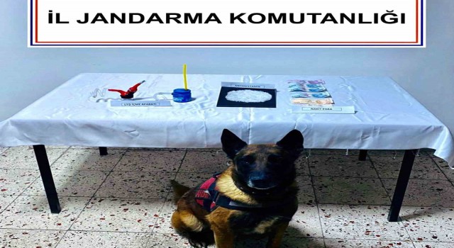 Narkotik köpek ‘Kont destekli uyuşturucu operasyonu