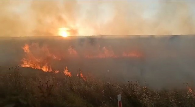 Sigara izmariti Ziraat Odası Başkanının 20 dönüm arpasını küle çevirdi