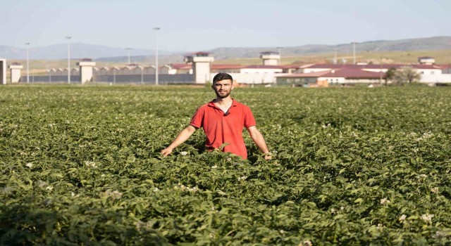 (ÖZEL) Fenomen çiftçinin Afyon şivesiyle yaptığı espriler dilden dile dolaşıyor