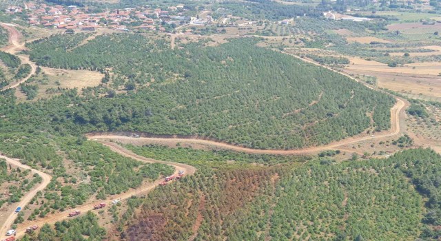Valilik uyardı: Manisada sıcak havayla birlikte orman yangın riski de artacak
