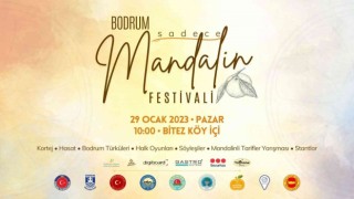 Bodrumda, “Sadece Mandalin Festivali 2023” hafta sonu yapılacak
