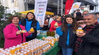 BOL VİTAMİNLİ MİS KOKULU FESTİVAL