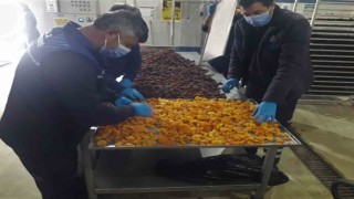 Büyükşehir, Malatyada üreticilerden satın aldığı kayısıları ücretsiz dağıtacak