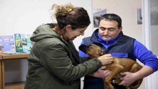 Depremzede aile ile depremzede köpeğin buluşma anı