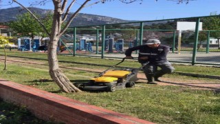 Ortacanın yeşil alanlarında Bahar bakımı